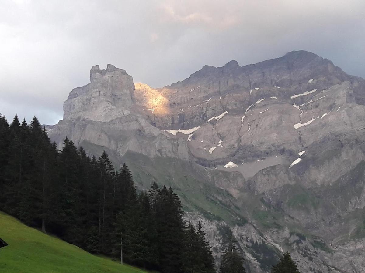Ferien In Der Bergwelt Von Adelboden住宿加早餐旅馆 外观 照片