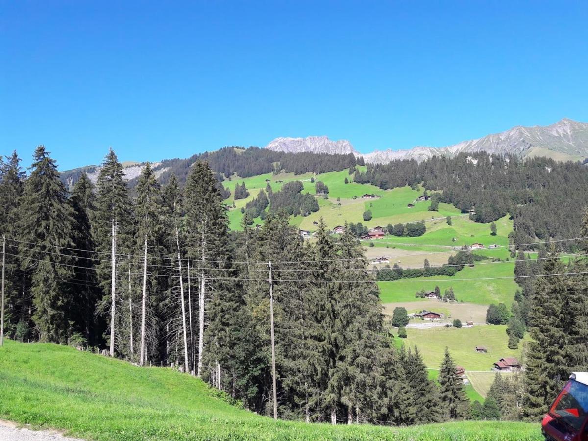 Ferien In Der Bergwelt Von Adelboden住宿加早餐旅馆 外观 照片